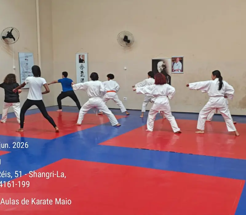 Professor orientando aluno no dojo